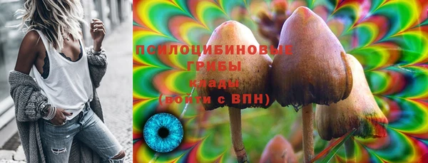 2c-b Алзамай