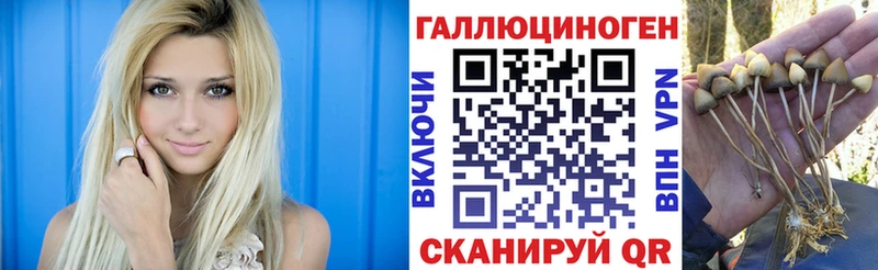 цены наркотик  Воткинск  Галлюциногенные грибы Psilocybine cubensis 